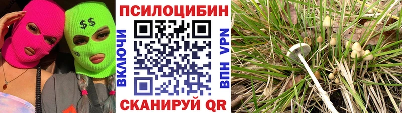 Псилоцибиновые грибы мухоморы  Белёв 